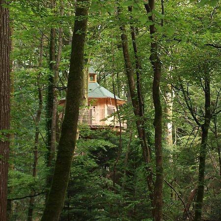 Les Cabanes De Kermenguy Cléder Oda fotoğraf