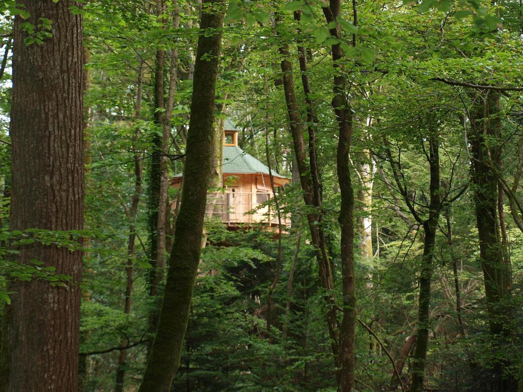 Les Cabanes De Kermenguy Cléder Oda fotoğraf
